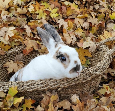 Peachkissx only fans leak