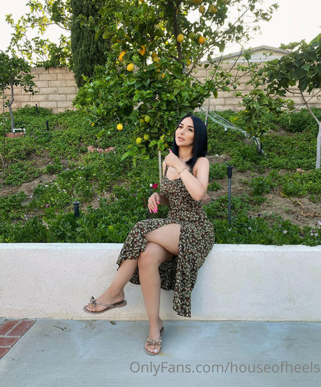 jo ashh leaked nudes onlyfans