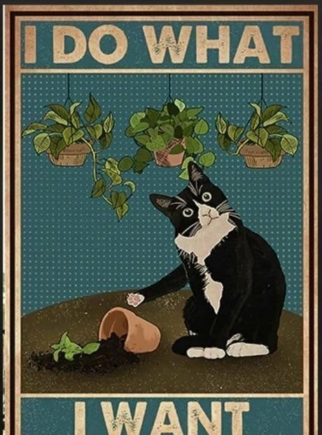 lovesickfordick nude on onlyfans