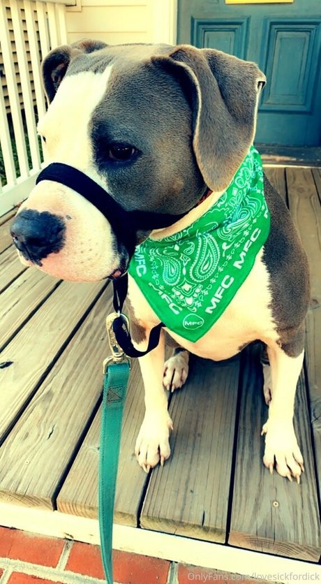 lovesickfordick onlyfans naked