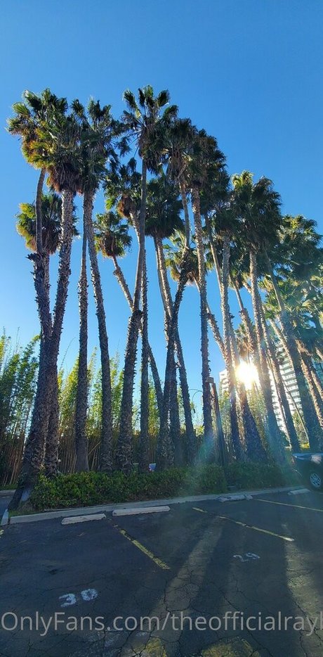 arab femboy onlyfans porno slide