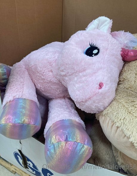 melindalove956 porn onlyfans