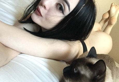 shadowshine5 onlyfans lesk