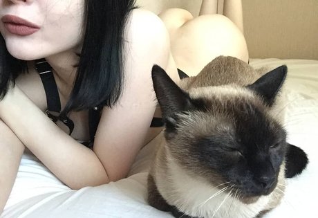 shadowshine5 nude onlyfans porn