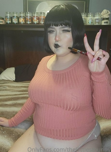 thel1ttlestbunny new onlyfans leaks