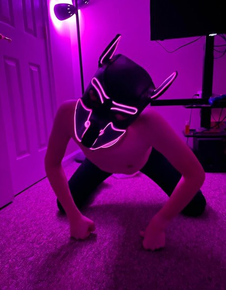 pup haze xxx only fans