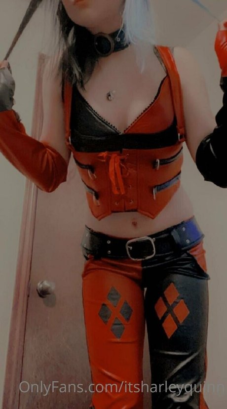 itsharleyquinn only fans nude