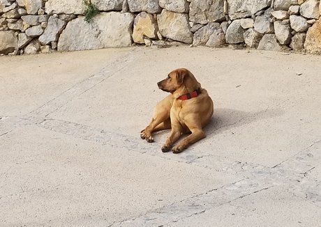 tommypistol onlyfans leak