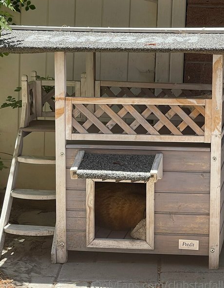 clubstarfall porn leaked onlyfans