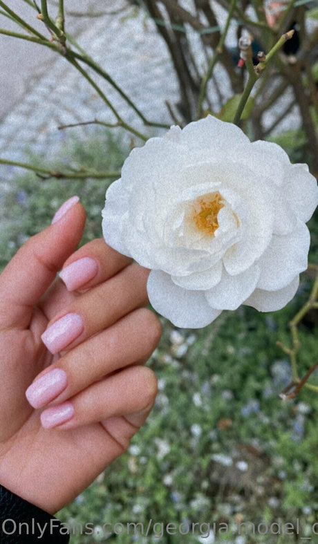 photopolli xxx onlyfans