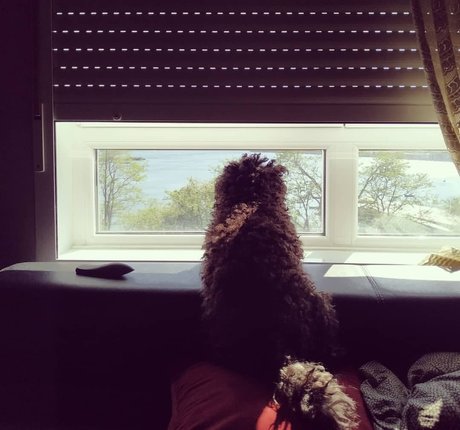 Resha Antony onlyfans leaks