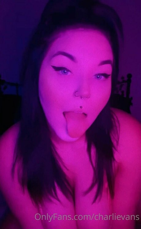 Charli Evans  galleries