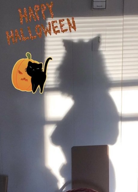 sarahtheslutfree nudes onlyfans leak