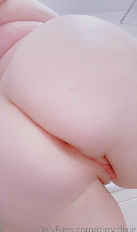 dirty dixie  self-portrait