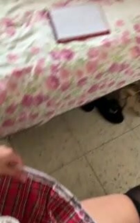 danikit onlyfans boobs