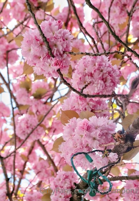 naomimoonz onlyfans de