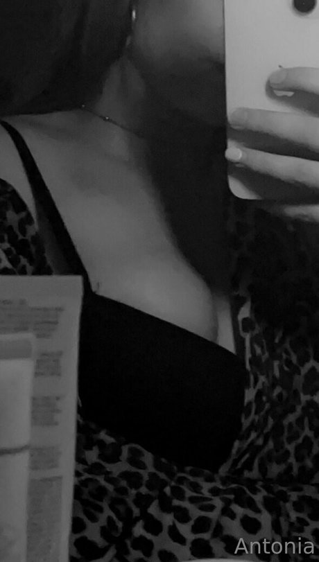 imhotantonia onlyfans star