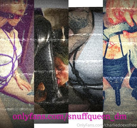 charliedoexofree onlyfans public photos