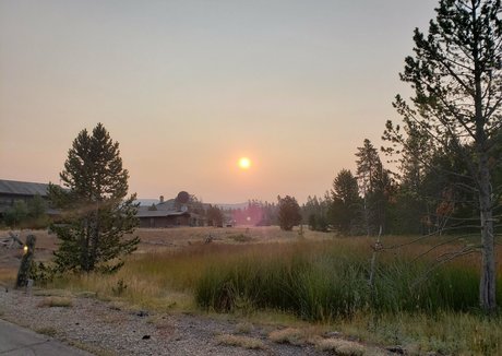 mccoywhatsername onlyfans nude leaks