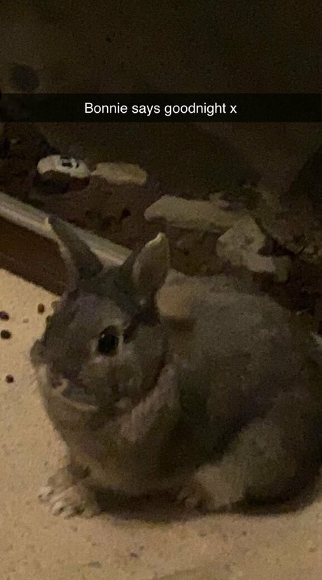 sweet little hunni leaked onlyfans sex