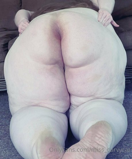 miss curvycat nude onlyfans leaks