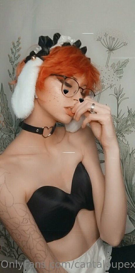 cantaloupexo leaked onlyfans pics