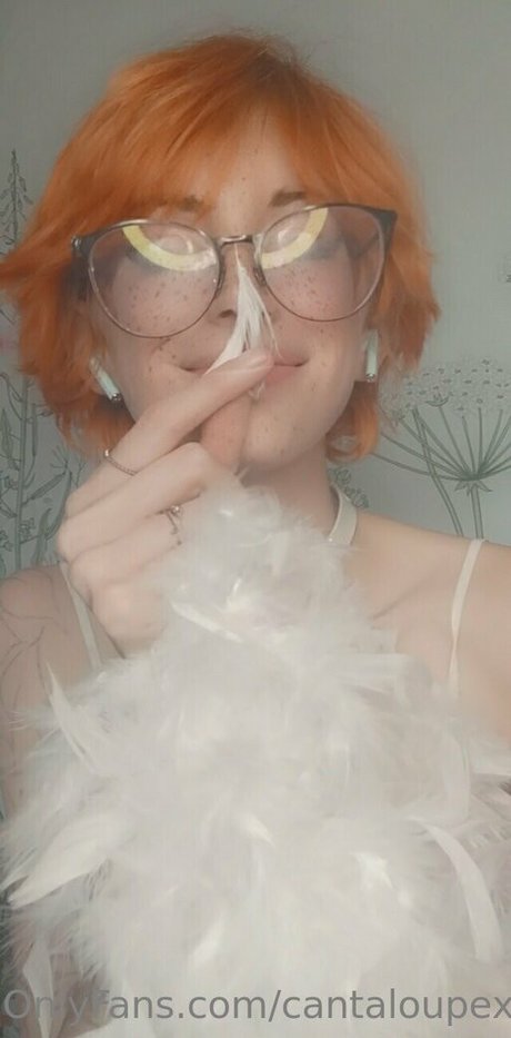 cantaloupexo onlyfans leaks nudes