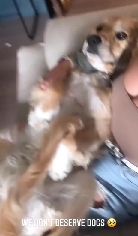 itssbriibitchh onlyfans porn nude