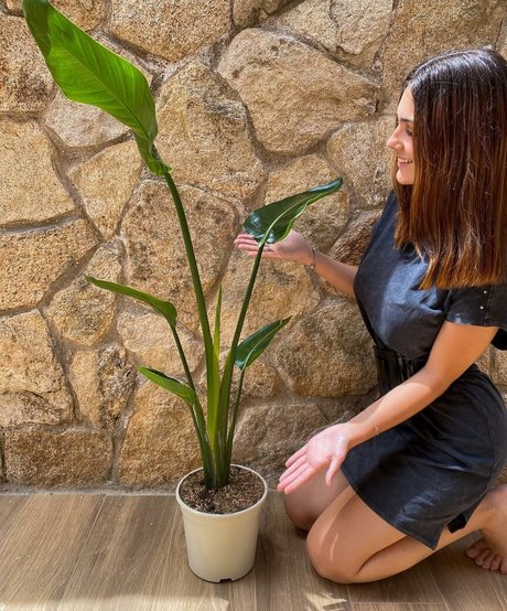 ebony feet onlyfans pornos portrayal