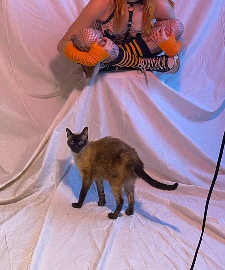 Locallbimbo onlyfans content