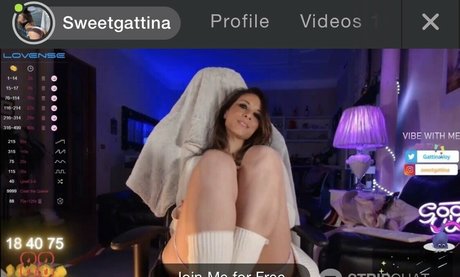 Gattinavoy only fans