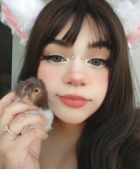 JoannaT4J__Chubbunny_ nude onlyfans porn