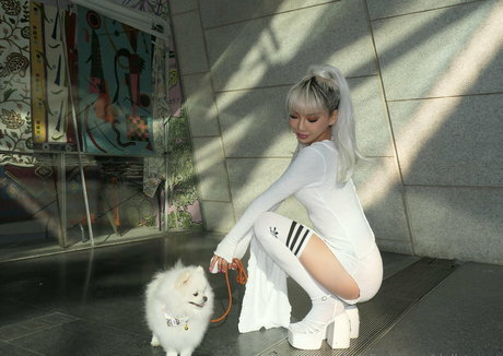 dollaryaoo onlyfans content type