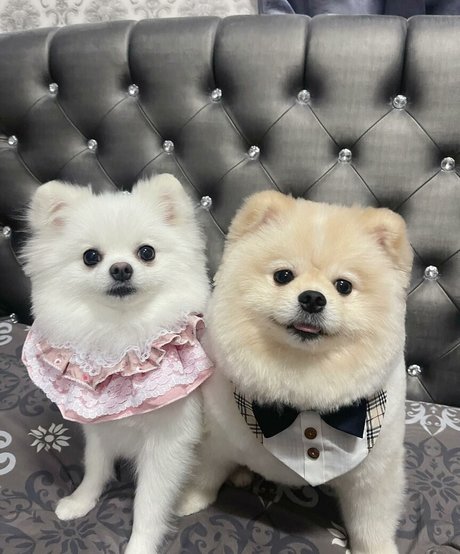 petite trans onlyfans hot naked photo