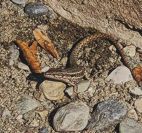 Ann Cygnus onlyfans nude photos