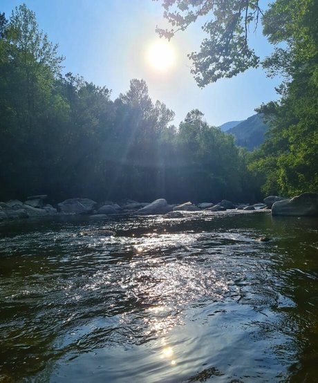 Ann Cygnus porn onlyfans