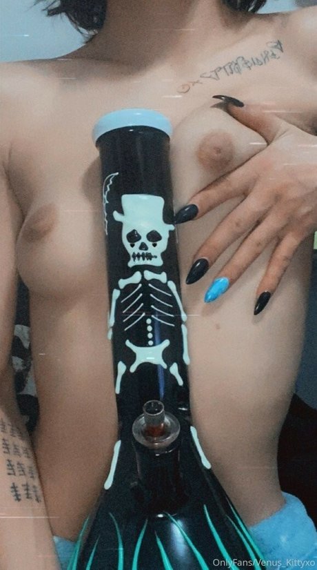 Venus Kitty onlyfans leams