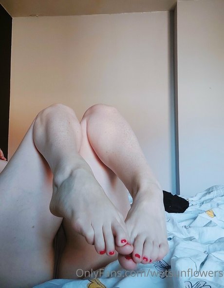 wetsunflowers onlyfans for free