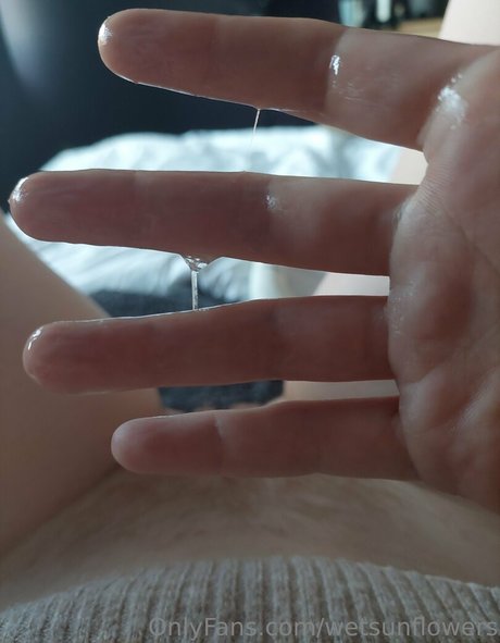 wetsunflowers onlyfans porn