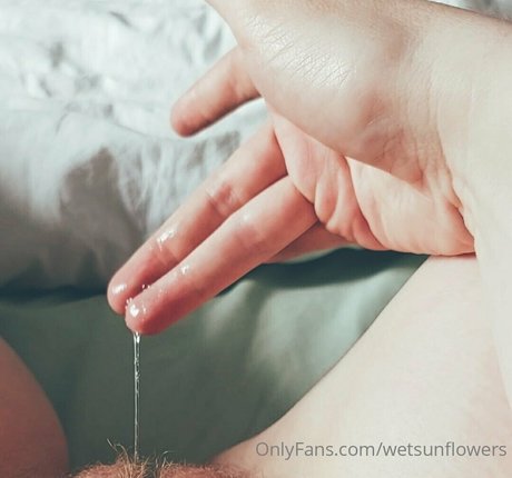wetsunflowers onlyfans porn