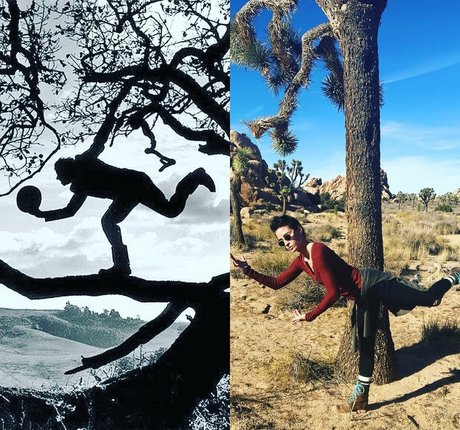 Allison Scagliotti leaked onlyfans