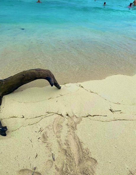 carolcor21 leaked onlyfans