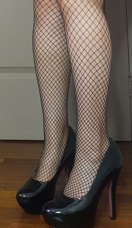 tiffs paradise  visual