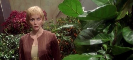 Annie Wersching onlyfans leak