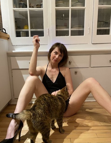 QuebecCougar  gallery