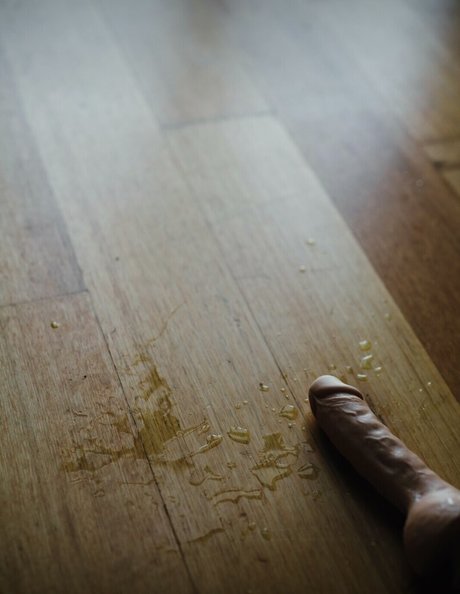 Kristina Wild  galleries