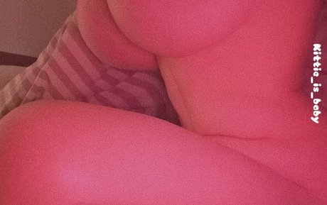 soft kttn onlyfans content