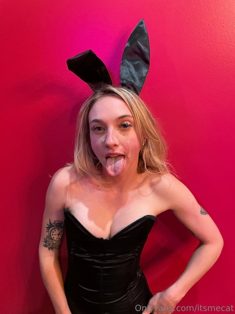 Itsmecat_ only fans leaked