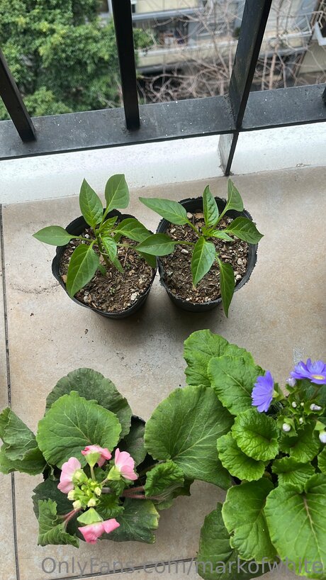 Markofwhite onlyfans leaked porn