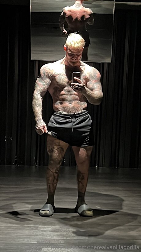 Therealvanillagorilla porn onlyfans